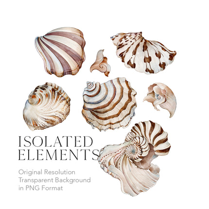 Seashells Seamless Pattern - 112