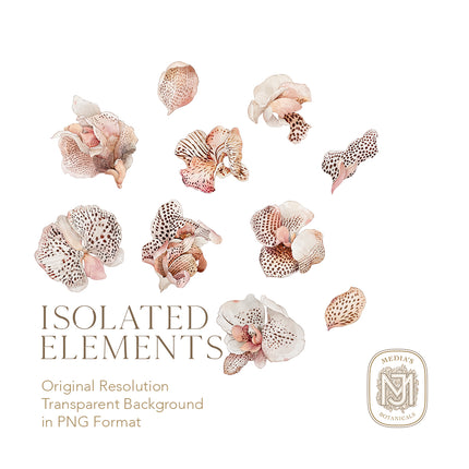 Orchid Atelier Seamless Pattern - 124