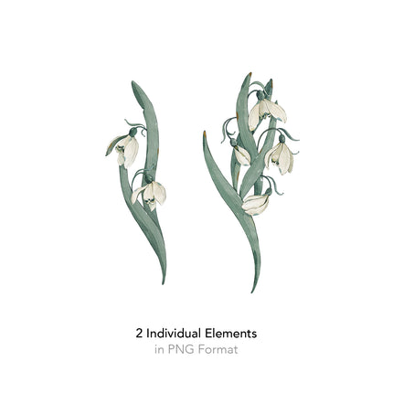 Snowdrop Seamless Pattern - 097