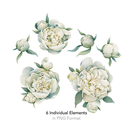 Peonies Seamless Pattern - 091