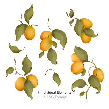 Apricot Seamless Pattern - 078