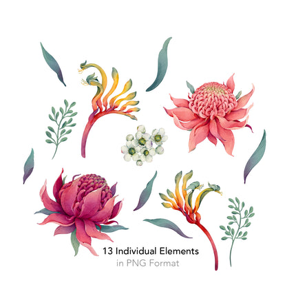 Australian Native Flowers Seamless Pattern - 092