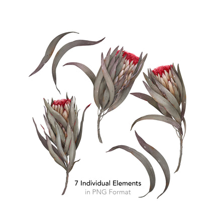 Protea Seamless Pattern - 085