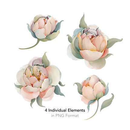 Peonies Seamless Pattern - 079