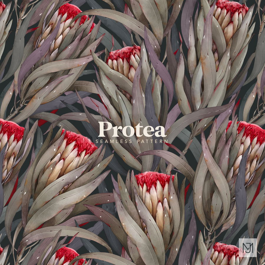 Protea seamless floral repeat with red and cream protea blooms and muted purple-gray leaves on a dark charcoal-green background.